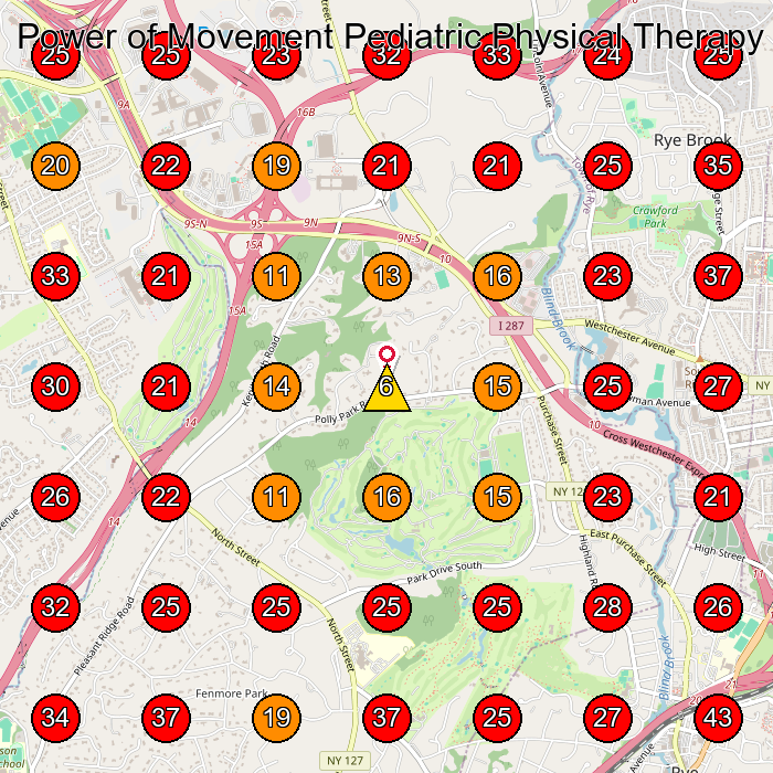 Power of Movement Pediatric Physical Therapy GeoGrid visibility map for Physical Therapy Clinic in White Plains